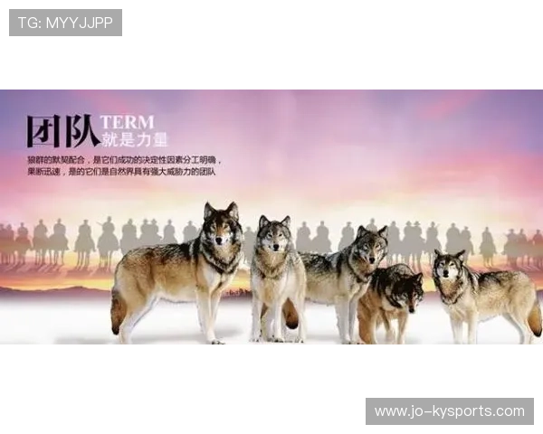 琑队如何完善青训导师的绩效考评与激励机制，lol青训导师